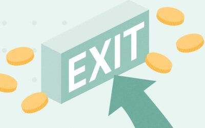 From seed to harvest: exit strategies for startup founders and angel investors