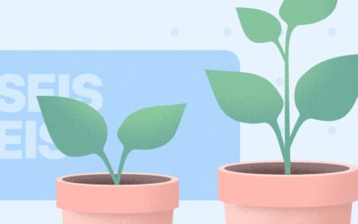 SEIS & EIS done right: reducing risk and building trust with Dealum